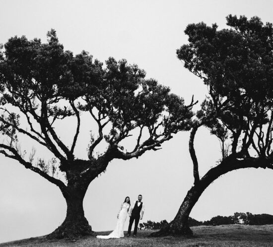 Fotografo Casamento Ilha Madeira, Madeira Wedding Photographer